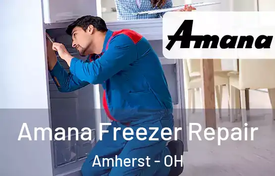  Amana Freezer Repair Amherst - OH