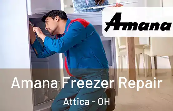  Amana Freezer Repair Attica - OH