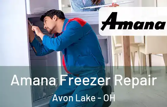  Amana Freezer Repair Avon Lake - OH