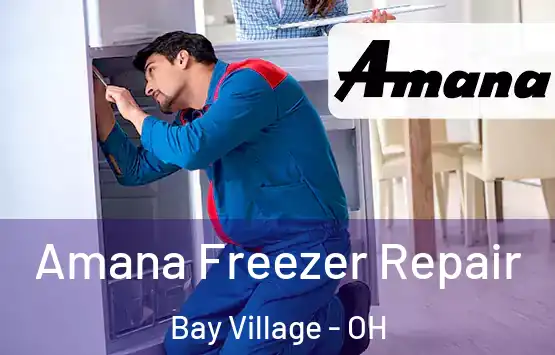  Amana Freezer Repair Bay Village - OH