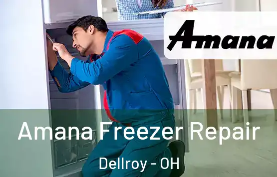  Amana Freezer Repair Dellroy - OH