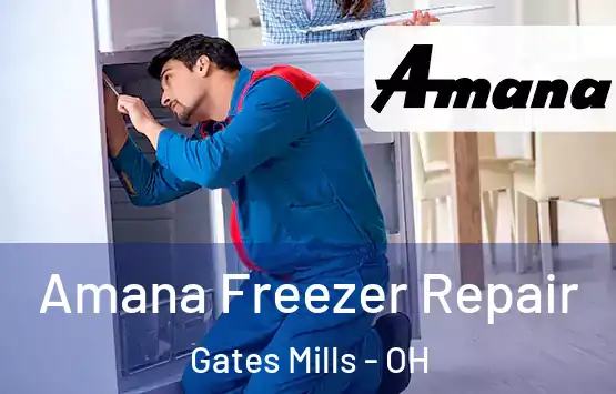  Amana Freezer Repair Gates Mills - OH