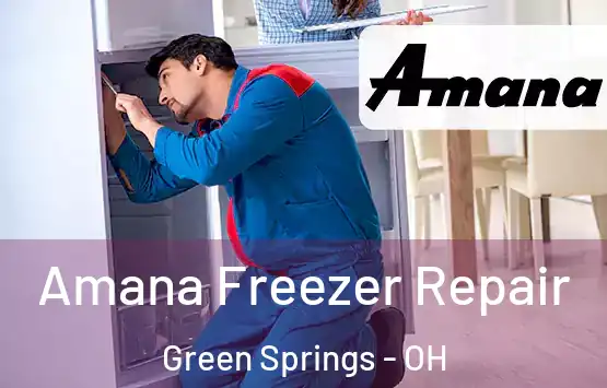  Amana Freezer Repair Green Springs - OH
