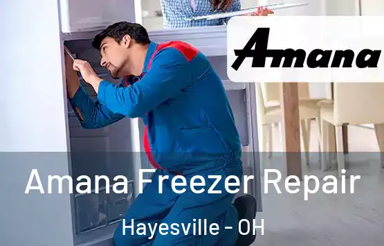  Amana Freezer Repair Hayesville - OH