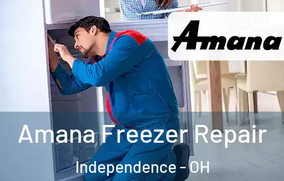  Amana Freezer Repair Independence - OH