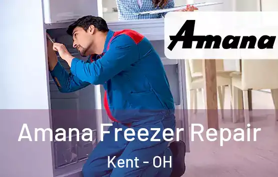  Amana Freezer Repair Kent - OH