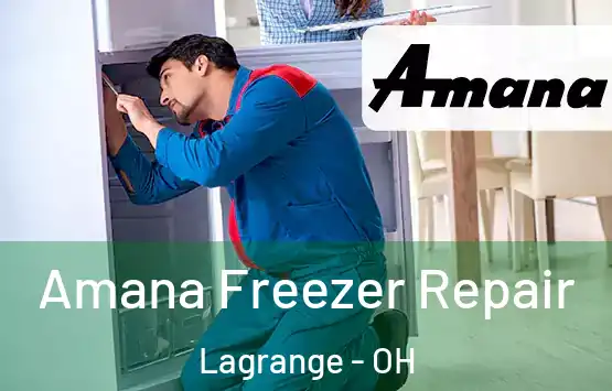  Amana Freezer Repair Lagrange - OH