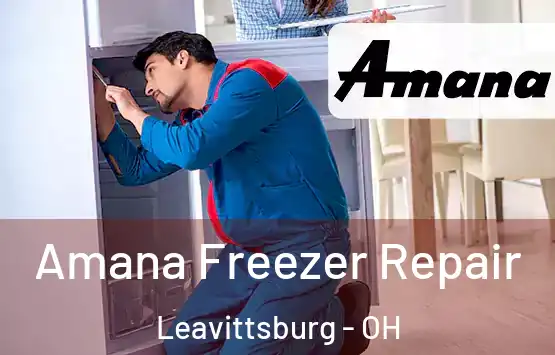  Amana Freezer Repair Leavittsburg - OH