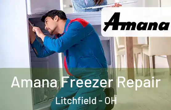  Amana Freezer Repair Litchfield - OH