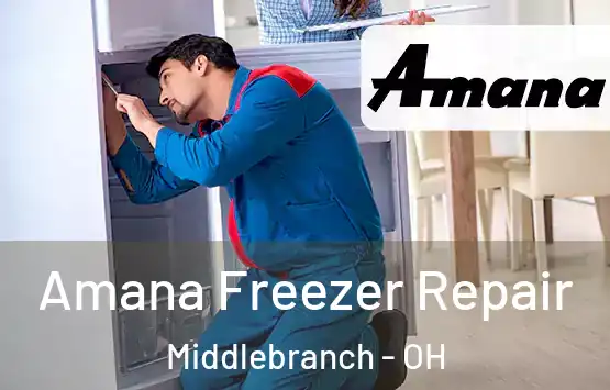  Amana Freezer Repair Middlebranch - OH