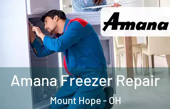  Amana Freezer Repair Mount Hope - OH