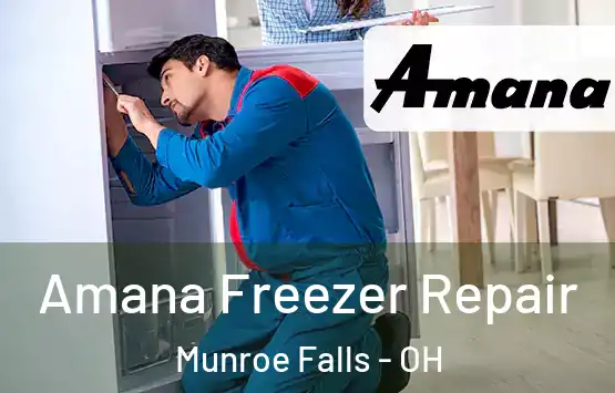  Amana Freezer Repair Munroe Falls - OH