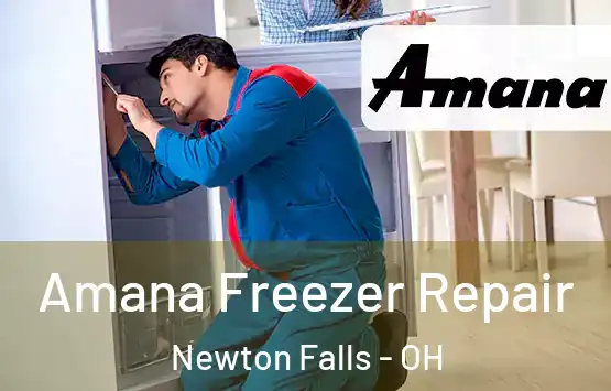  Amana Freezer Repair Newton Falls - OH