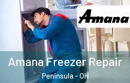 Amana Freezer Repair Peninsula - OH