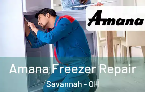  Amana Freezer Repair Savannah - OH
