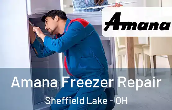  Amana Freezer Repair Sheffield Lake - OH