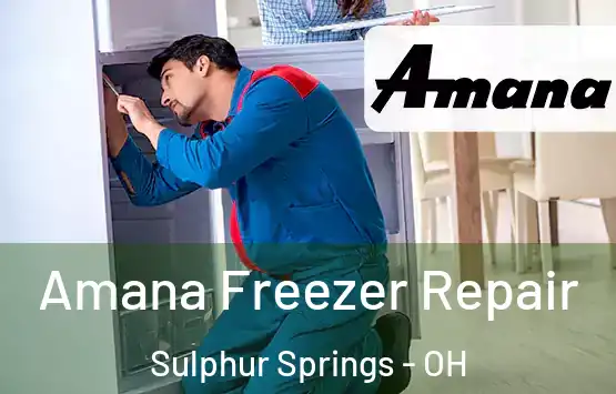  Amana Freezer Repair Sulphur Springs - OH