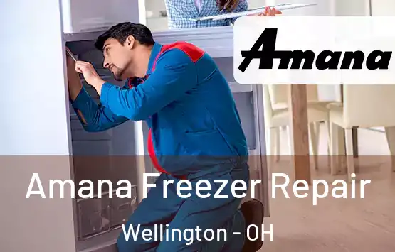  Amana Freezer Repair Wellington - OH