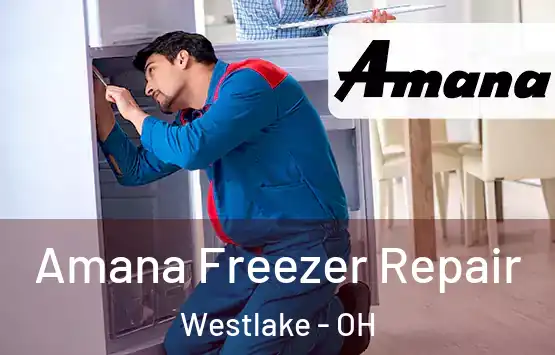  Amana Freezer Repair Westlake - OH