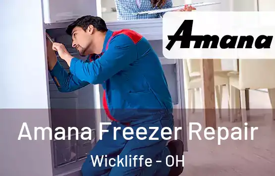  Amana Freezer Repair Wickliffe - OH