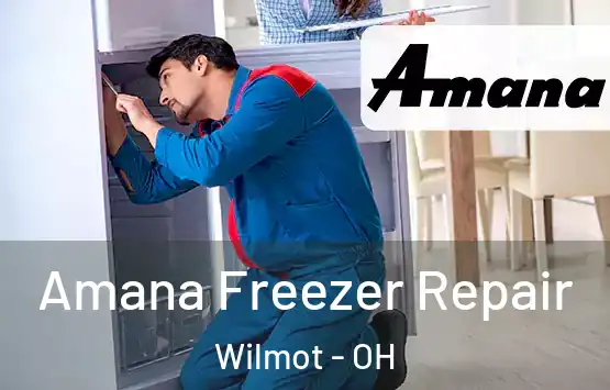  Amana Freezer Repair Wilmot - OH