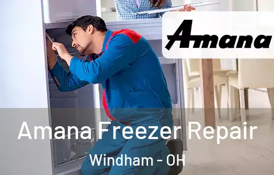  Amana Freezer Repair Windham - OH
