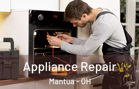  Appliance Repair Mantua - OH