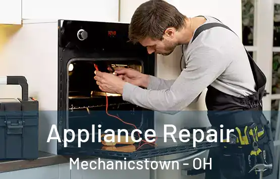  Appliance Repair Mechanicstown - OH
