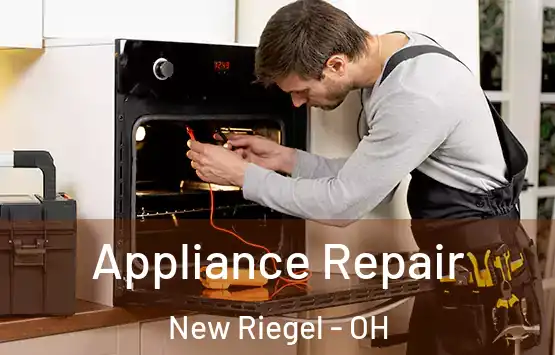  Appliance Repair New Riegel - OH
