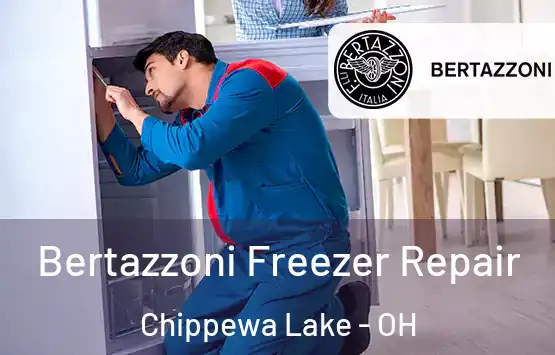  Bertazzoni Freezer Repair Chippewa Lake - OH
