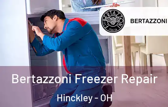  Bertazzoni Freezer Repair Hinckley - OH
