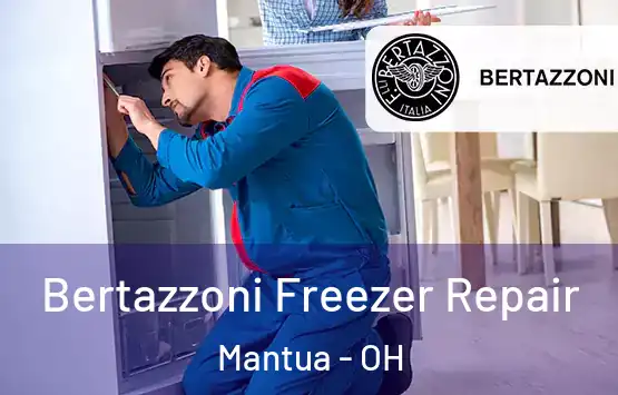  Bertazzoni Freezer Repair Mantua - OH