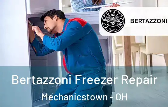  Bertazzoni Freezer Repair Mechanicstown - OH