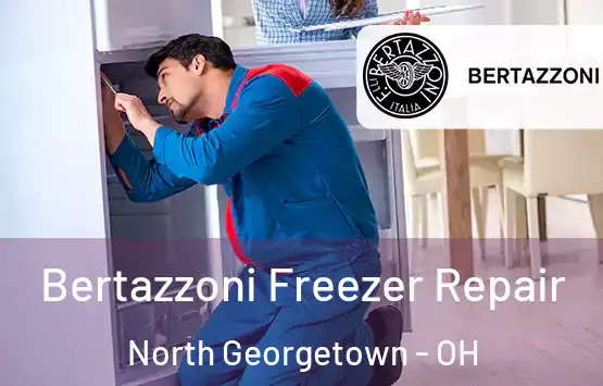  Bertazzoni Freezer Repair North Georgetown - OH