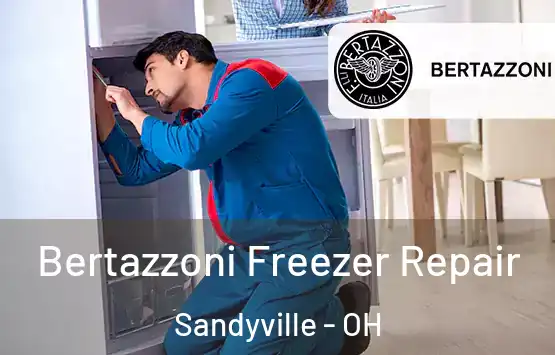  Bertazzoni Freezer Repair Sandyville - OH