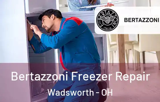  Bertazzoni Freezer Repair Wadsworth - OH