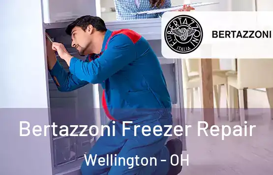  Bertazzoni Freezer Repair Wellington - OH