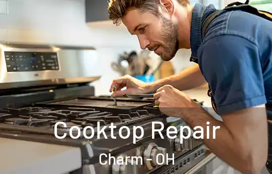  Cooktop Repair Charm - OH