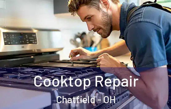  Cooktop Repair Chatfield - OH