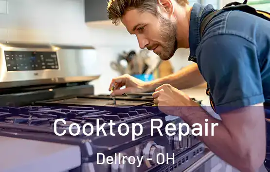  Cooktop Repair Dellroy - OH
