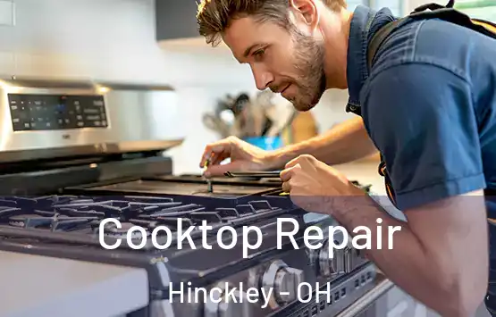 Cooktop Repair Hinckley - OH