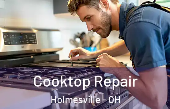  Cooktop Repair Holmesville - OH