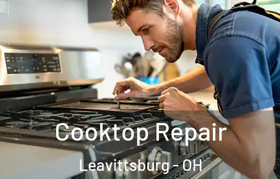  Cooktop Repair Leavittsburg - OH
