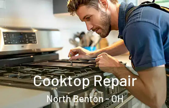  Cooktop Repair North Benton - OH
