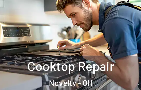  Cooktop Repair Novelty - OH