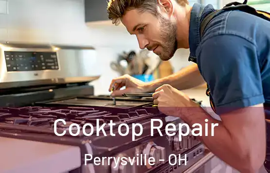  Cooktop Repair Perrysville - OH