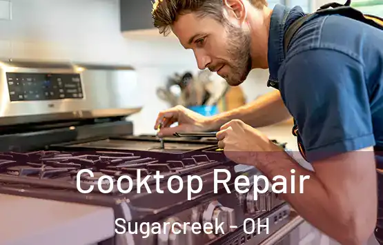  Cooktop Repair Sugarcreek - OH