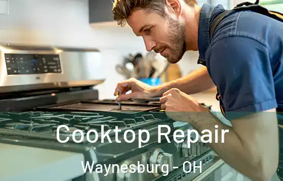  Cooktop Repair Waynesburg - OH