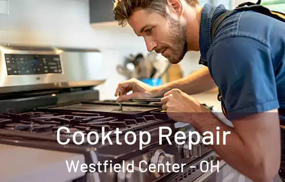  Cooktop Repair Westfield Center - OH