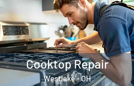  Cooktop Repair Westlake - OH